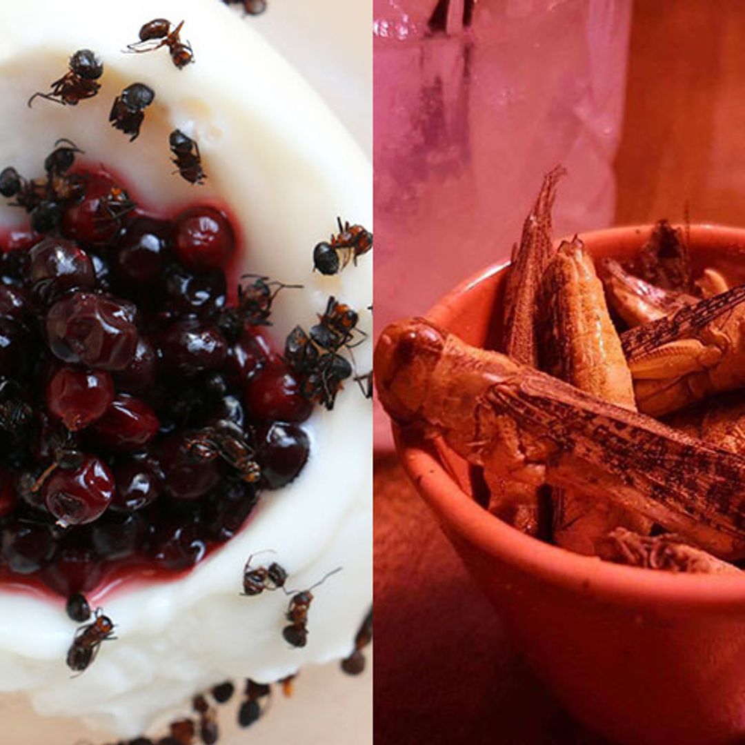 Fancy trying a bushtucker trial? These restaurants have creepy crawlies on the menu!