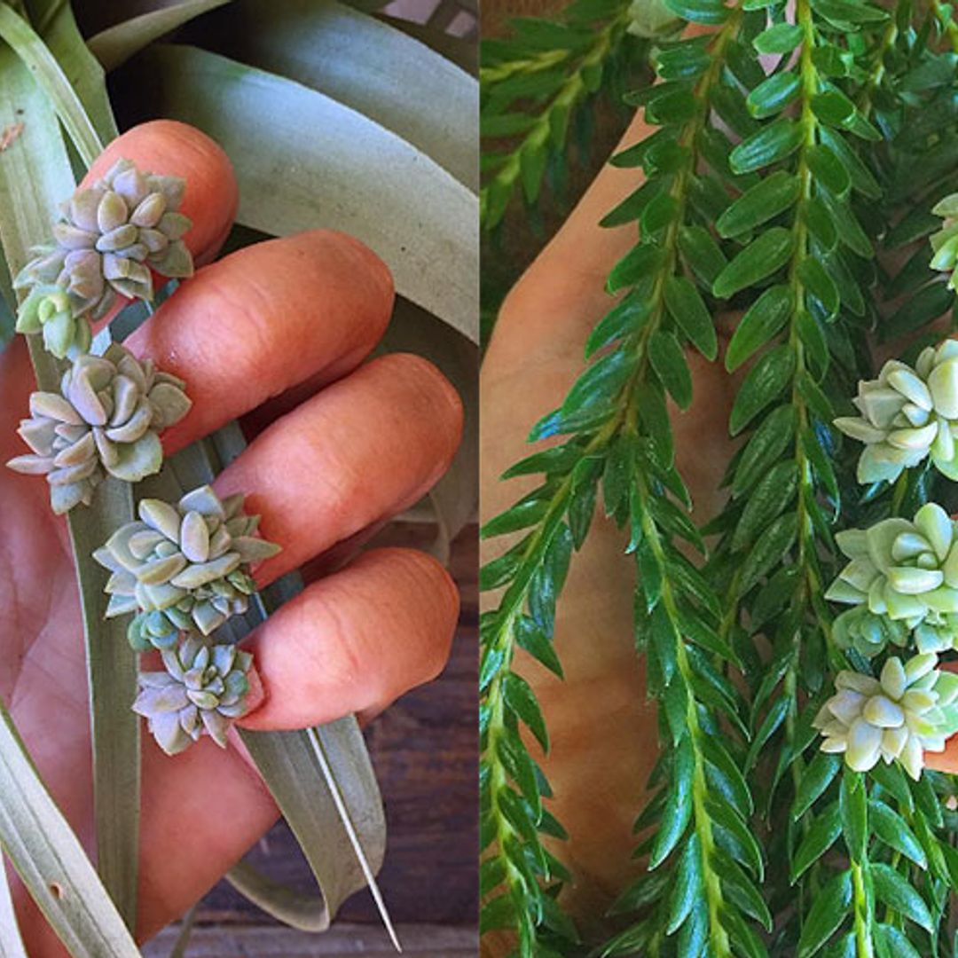 This artist's nail art is made from real-life succulent flowers!