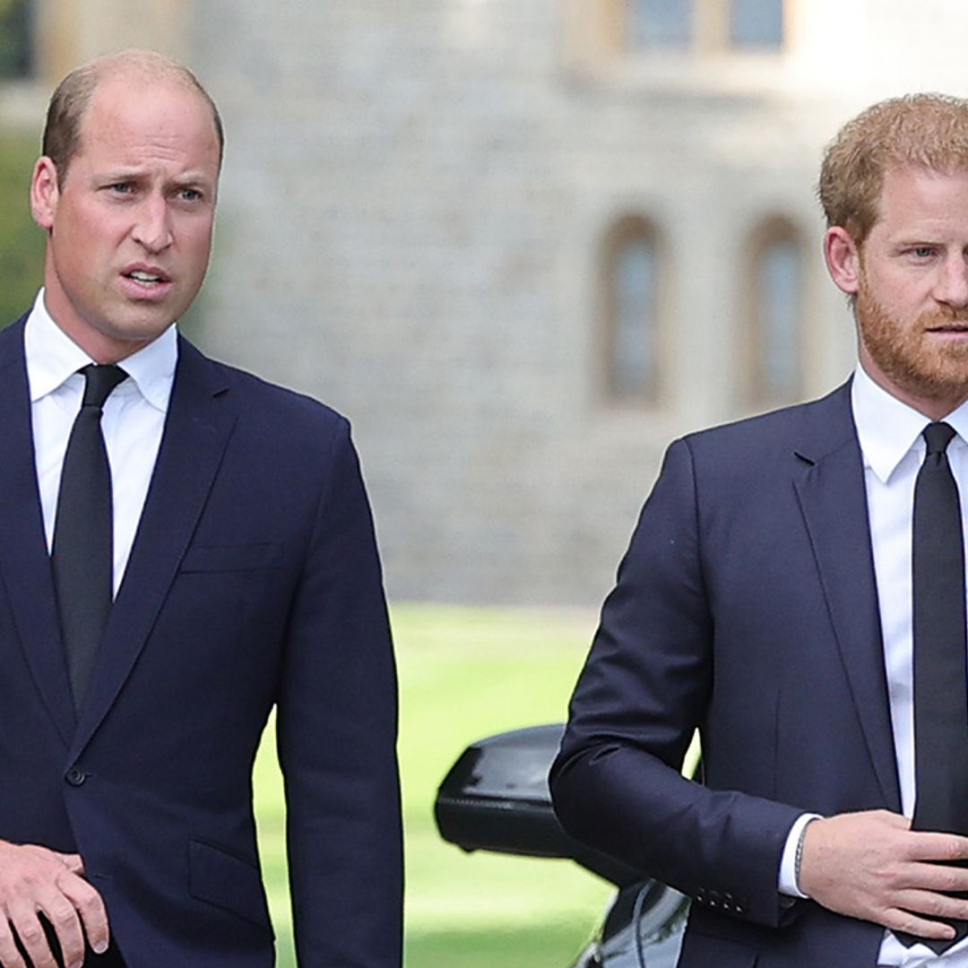 Prince Harry 'declares his love' for Prince William in moving moment from memoir