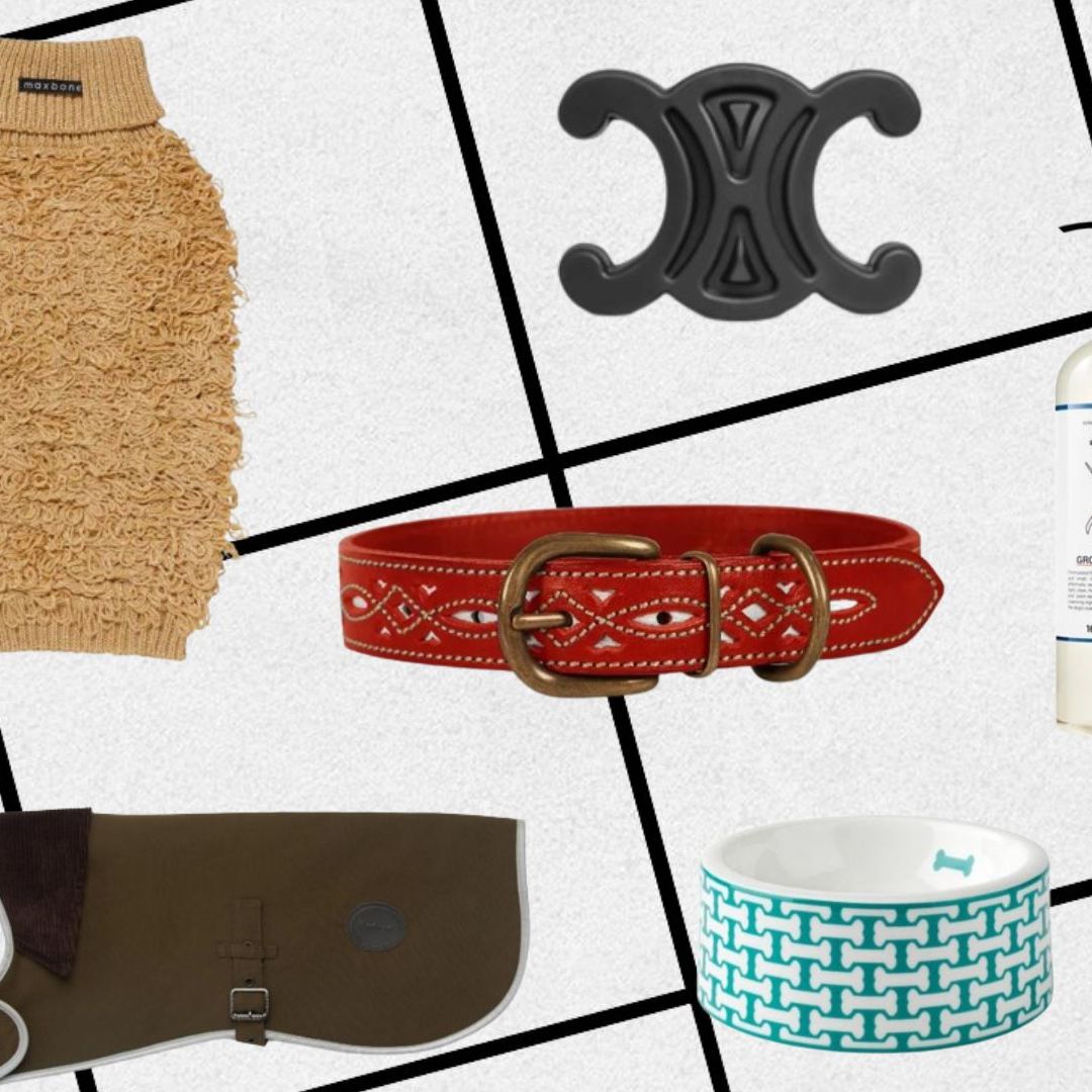 The 12 best luxury gifts for pampered pets