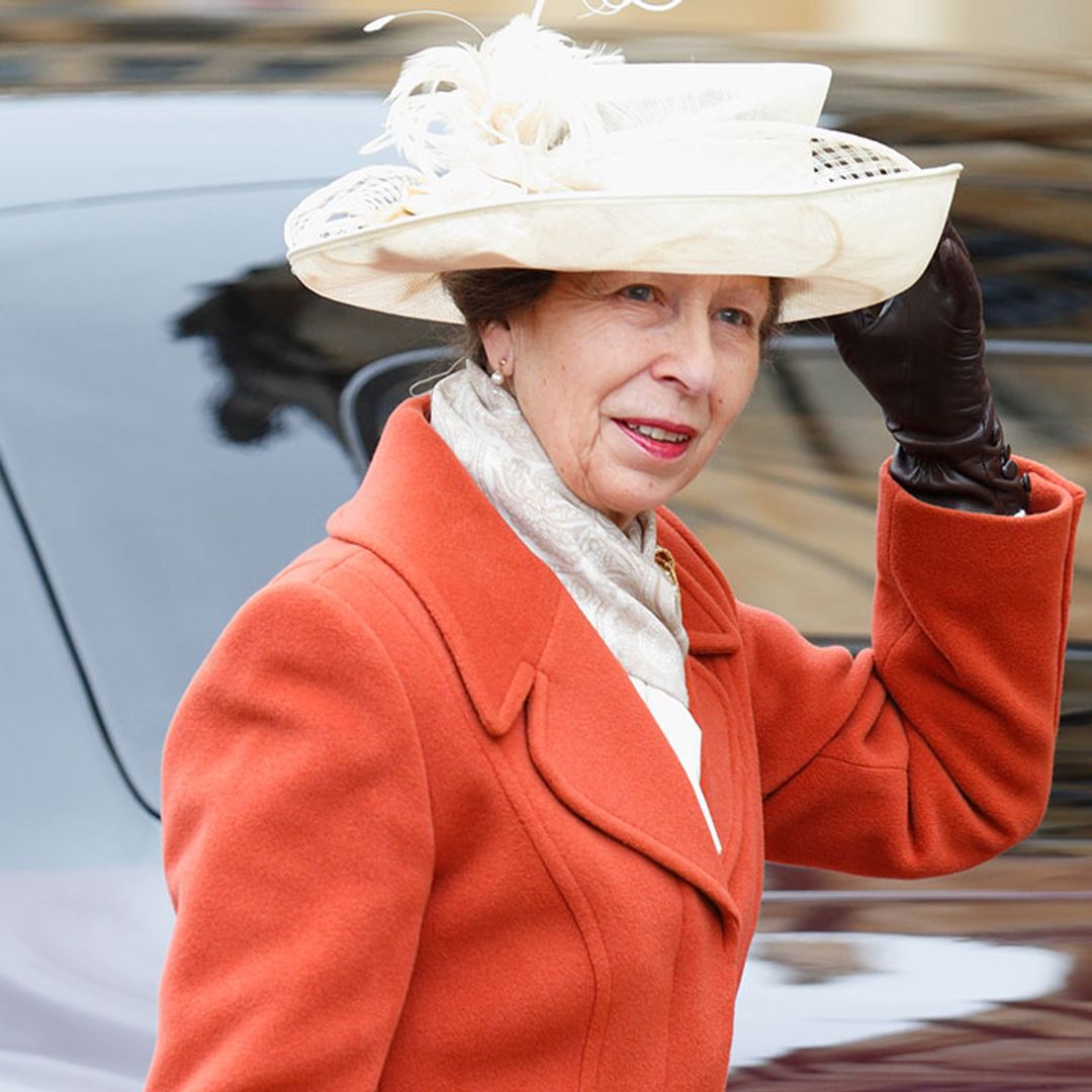 Princess Anne steps out in the most perfect autumnal coat for military visit