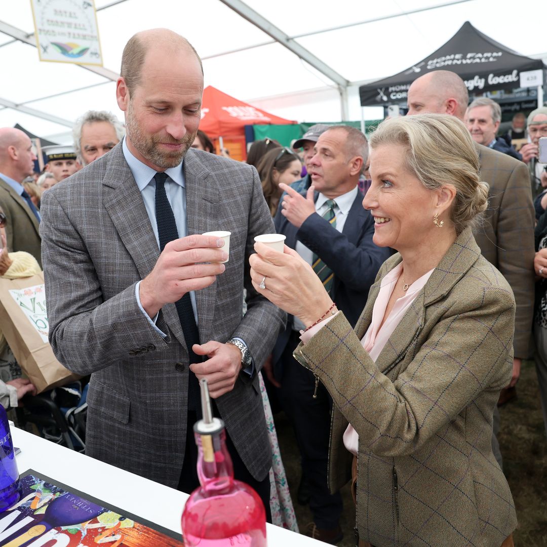 Prince William teases aunt Duchess Sophie during first joint engagement in 2 years