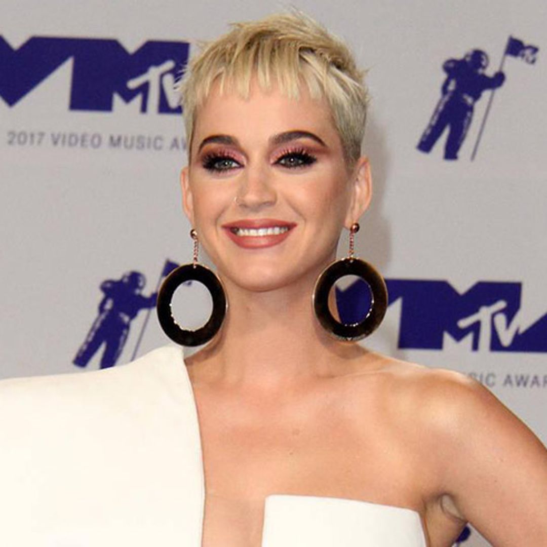 Katy Perry hires fan to design tour logo dress
