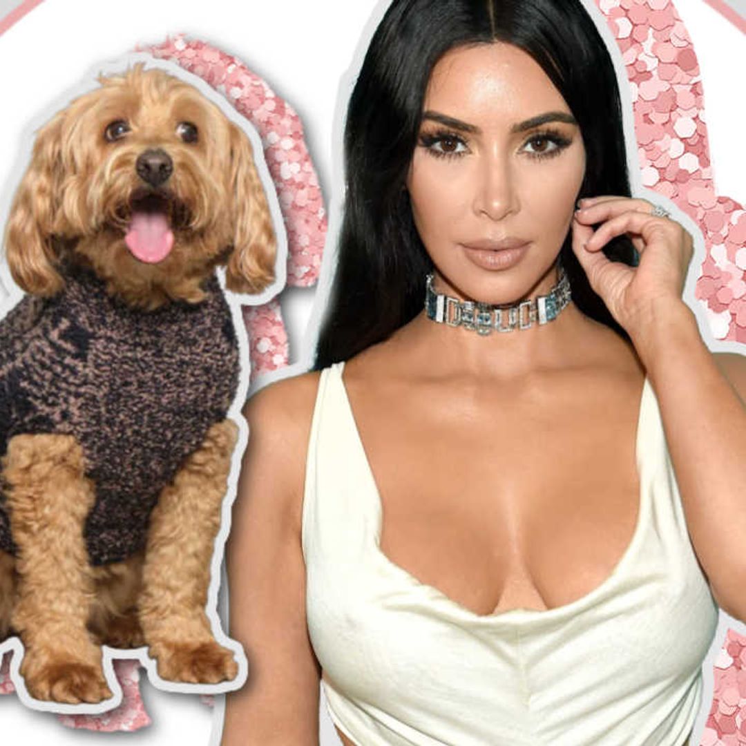 Kim Kardashian just launched SKIMS for dogs - yes, really