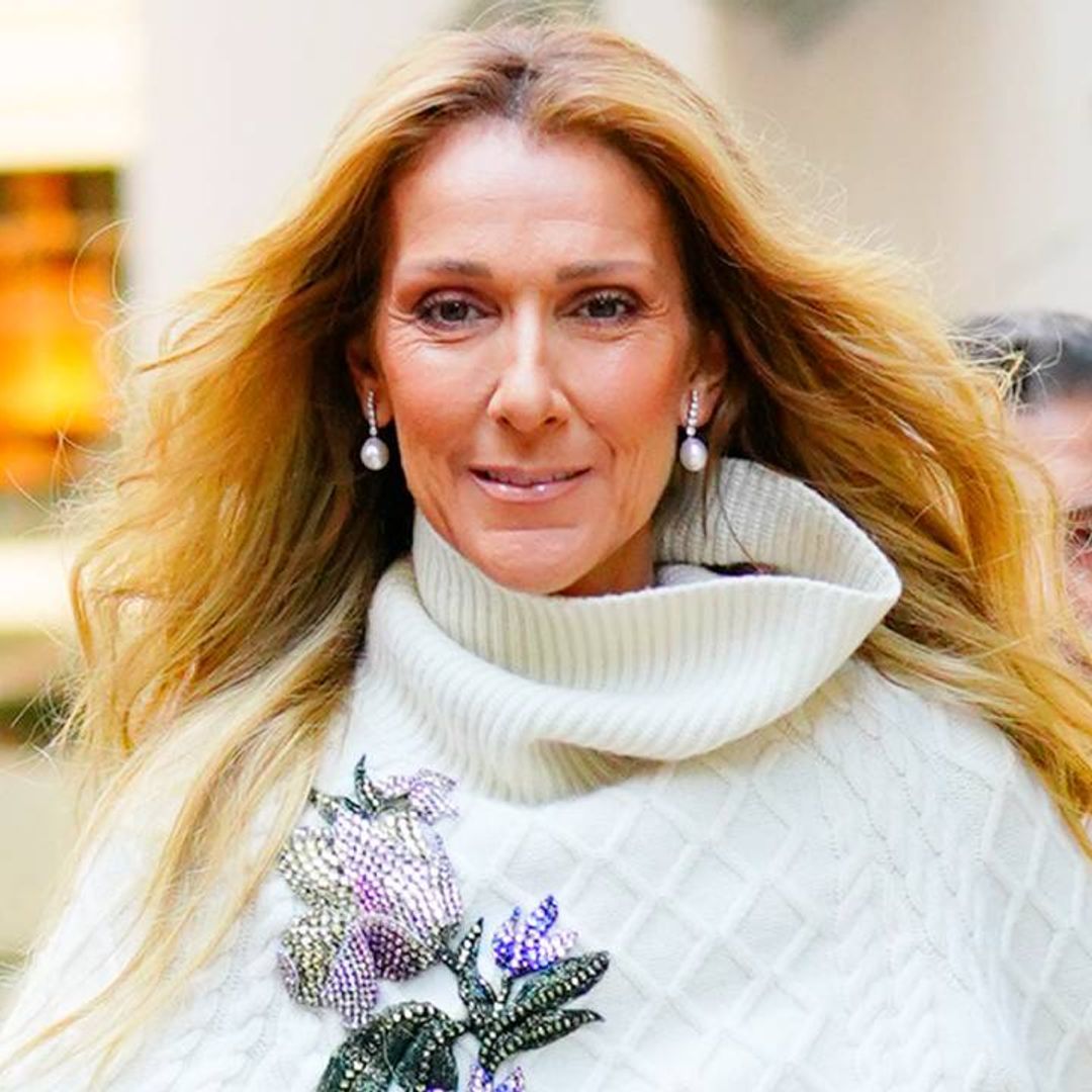 Celine Dion's fans send singer their support following latest update amid health battle