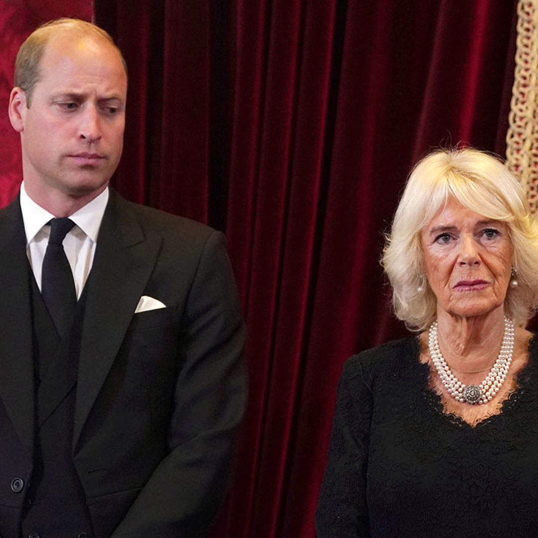 Touching moment Prince William helps Queen Consort Camilla during King Charles III's proclamation