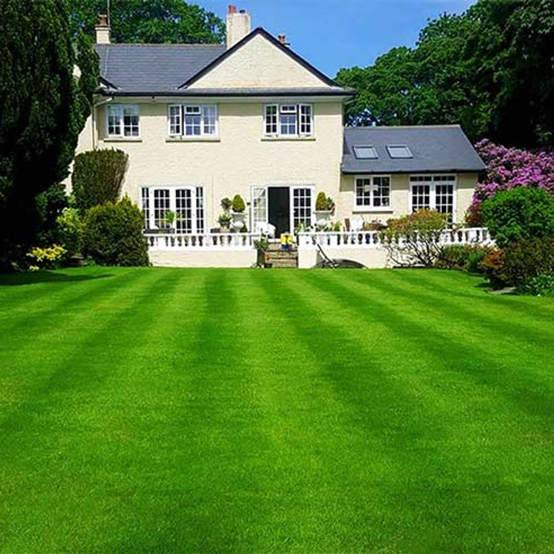 How to look after your lawn in summer