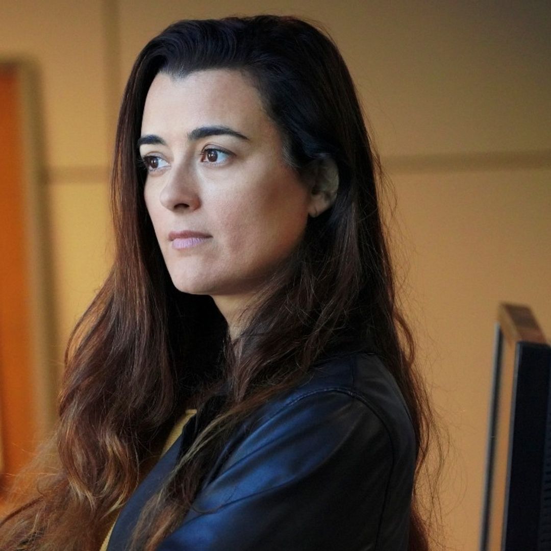 NCIS star Cote de Pablo had a very different career before acting