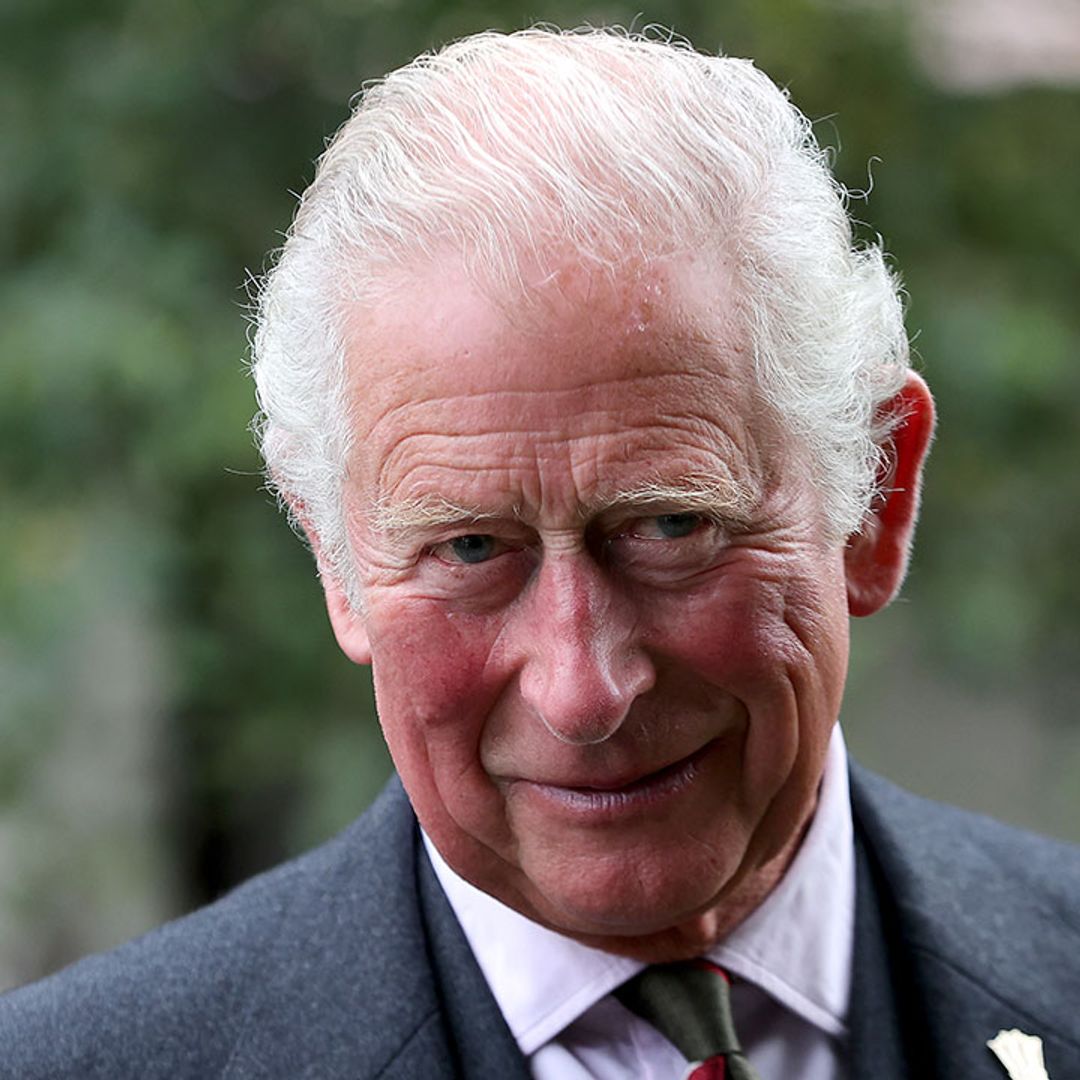 Prince Charles' exciting new TV project revealed