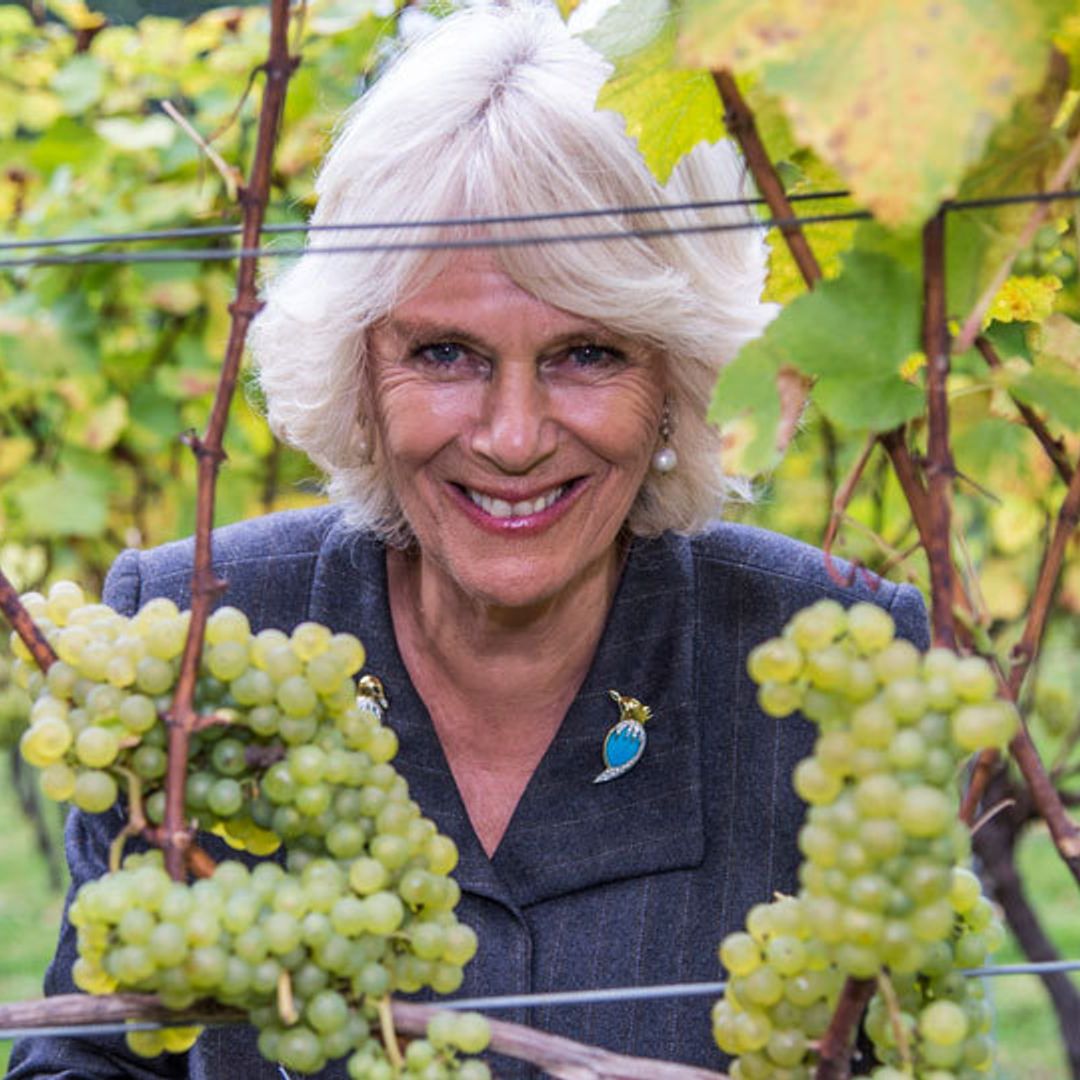 The Duchess of Cornwall's love of wine started at a young age