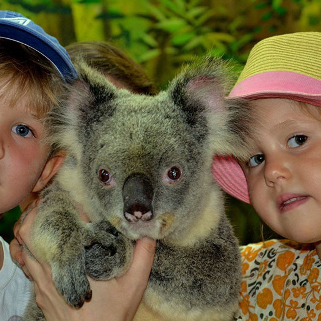 Denmark's royal twins Prince Vincent and Princess Josephine turn 5: New photos