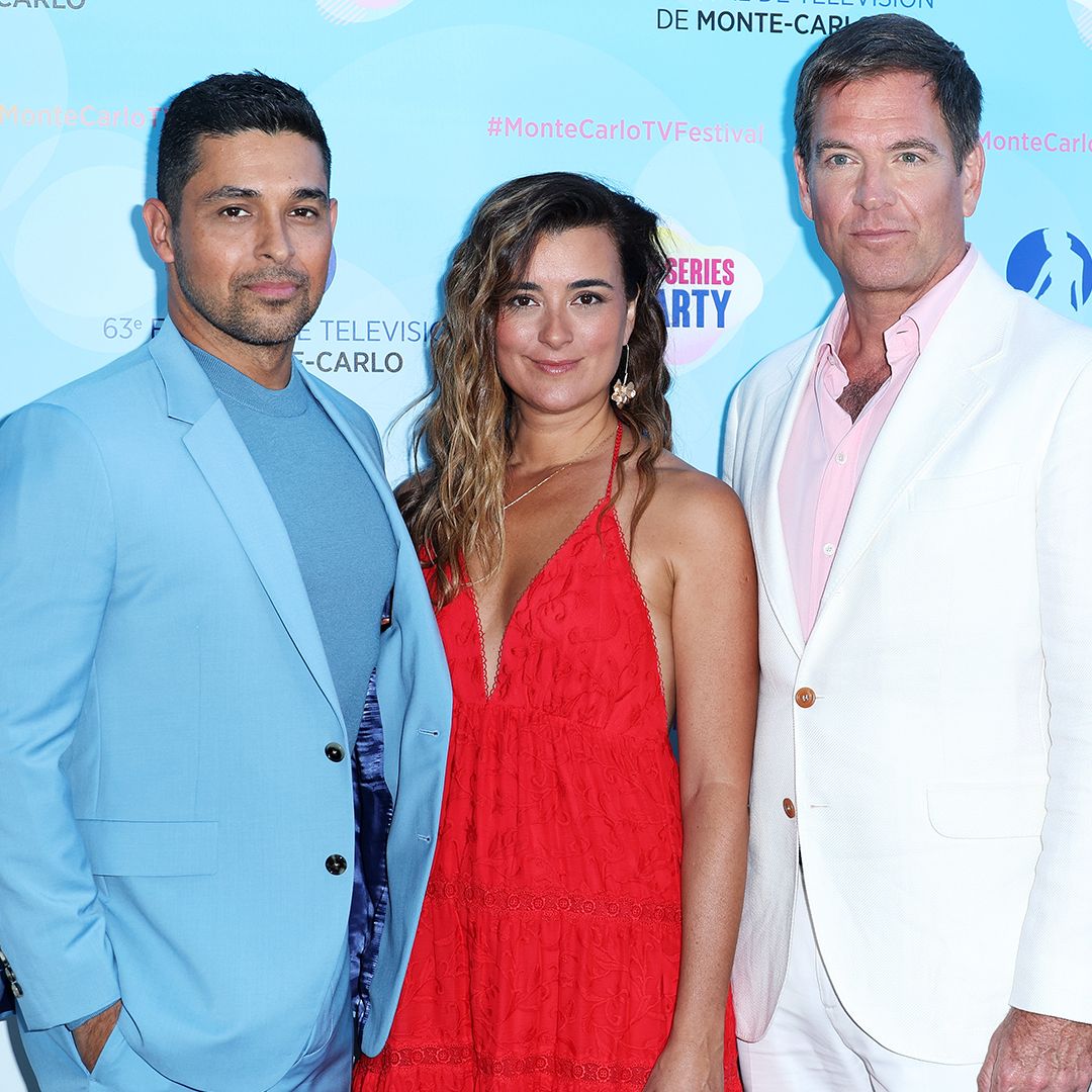 Michael Weatherly and Cote de Pablo enjoy unexpected NCIS reunion – see photos