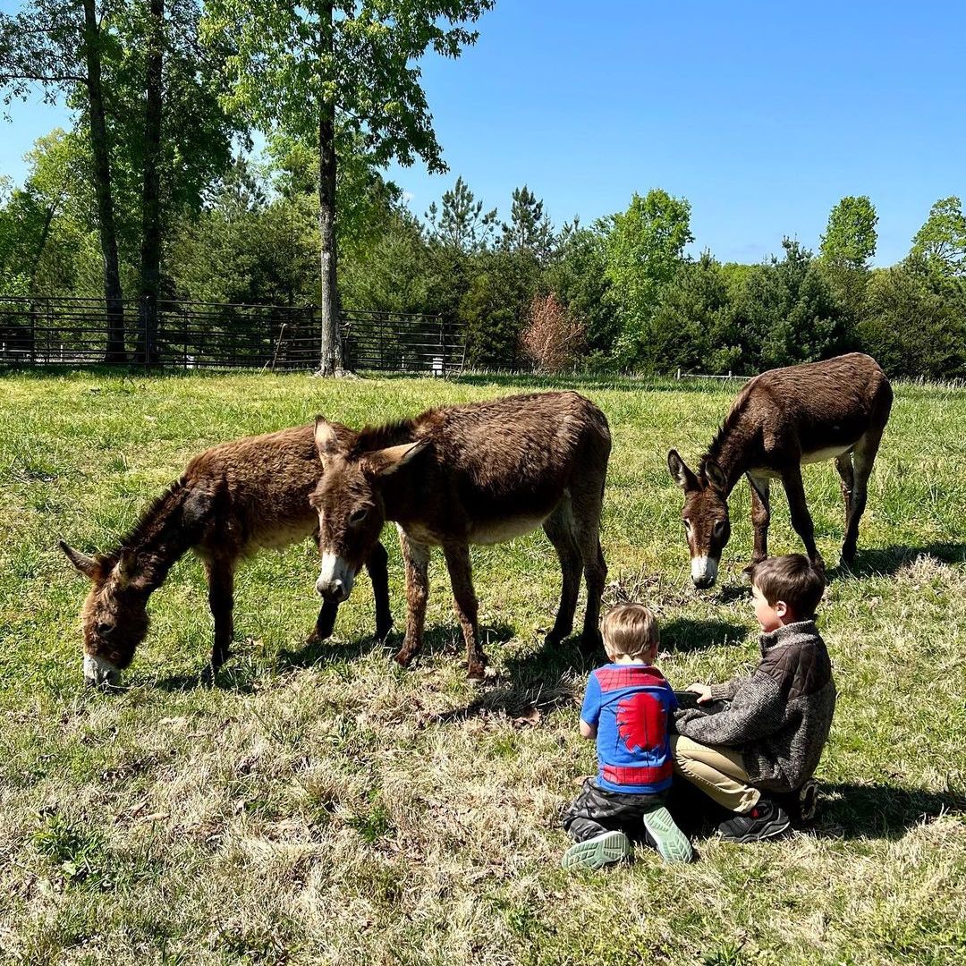 carrie underwood sons isaiah and jacob meeting new family members