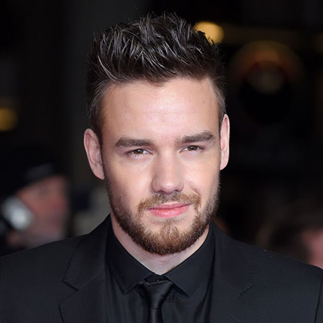 Liam Payne bonding with rescue puppies will be the cutest photo you see all day
