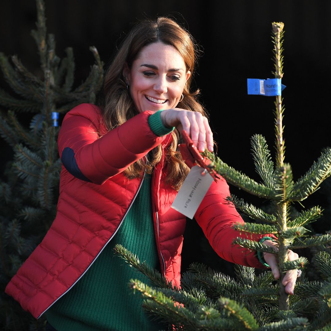 Princess Kate's pre-Christmas plans accidentally revealed by Palace - details