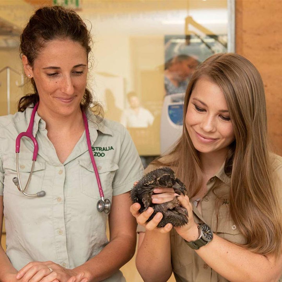Bindi Irwin recognises Australia Zoo's colleague