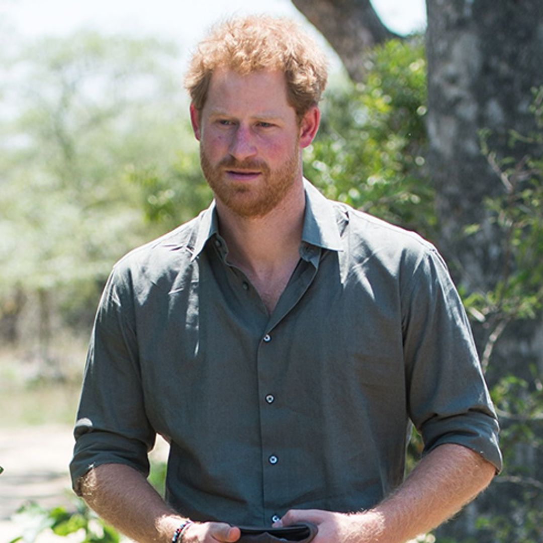 Prince Harry to visit southern Africa for work on conservation project