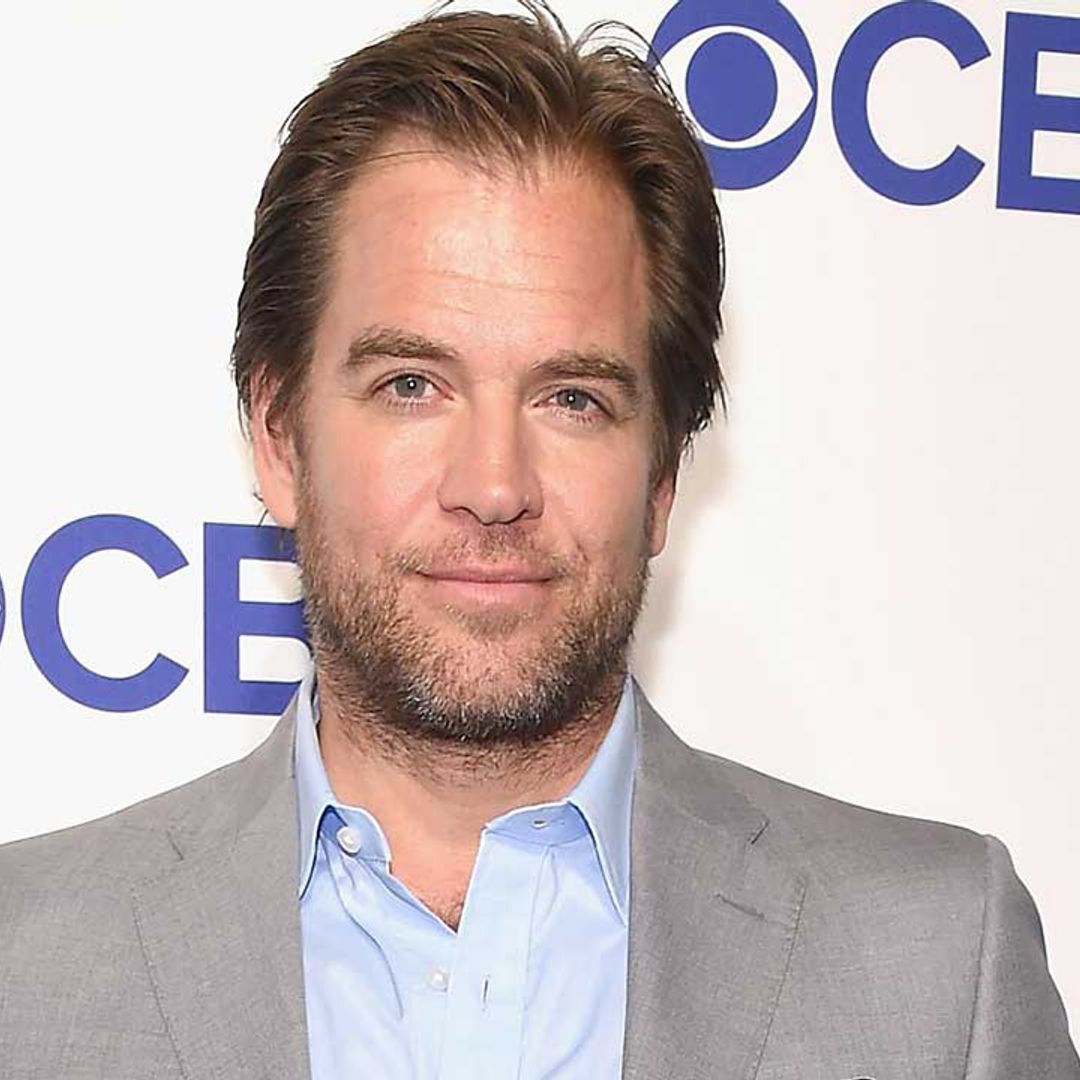 NCIS fans in disbelief as Michael Weatherly shares rare photo of son and daughter