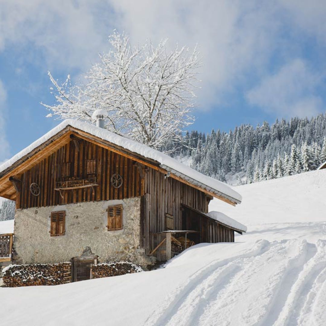 Morzine: An incredible family friendly ski resort in the French Alps