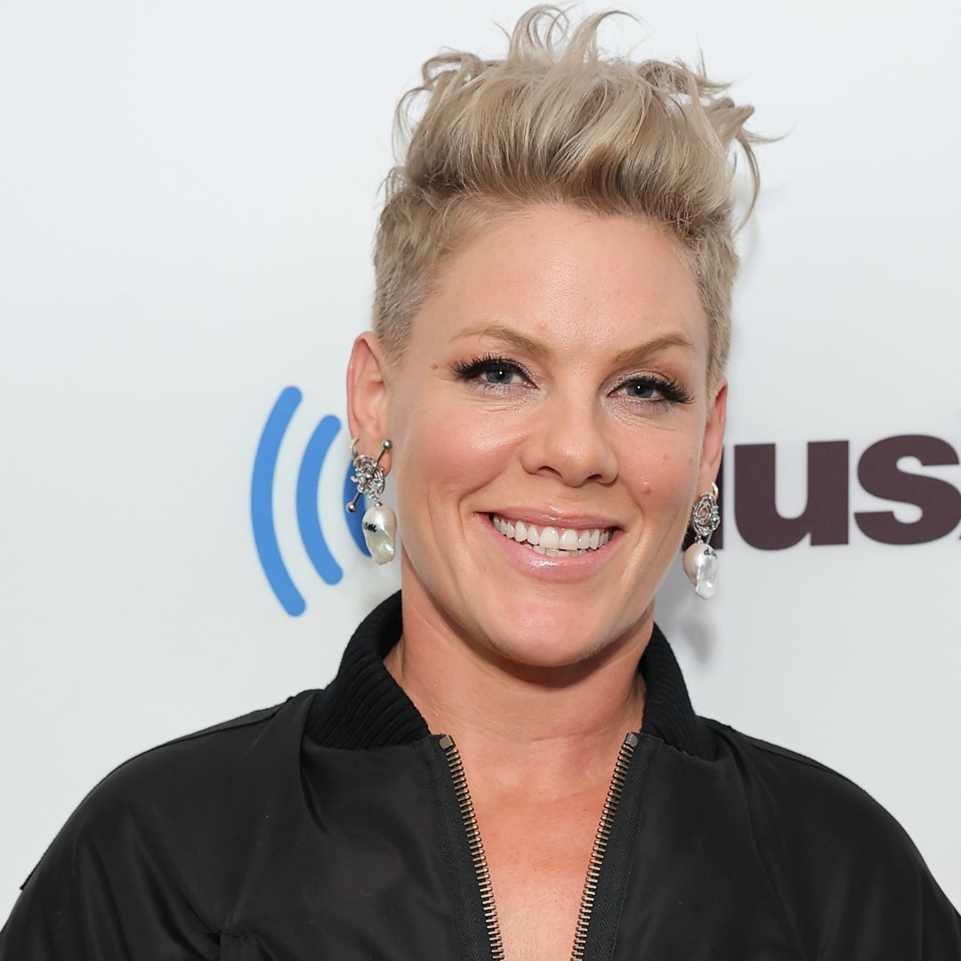 Pink left 'beyond grateful' with new addition to her family for time on the road