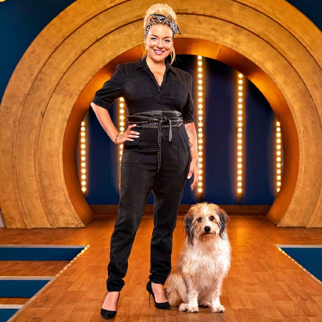 BBC show Pooch Perfect looks as ridiculous and addictive as you would imagine - get the details