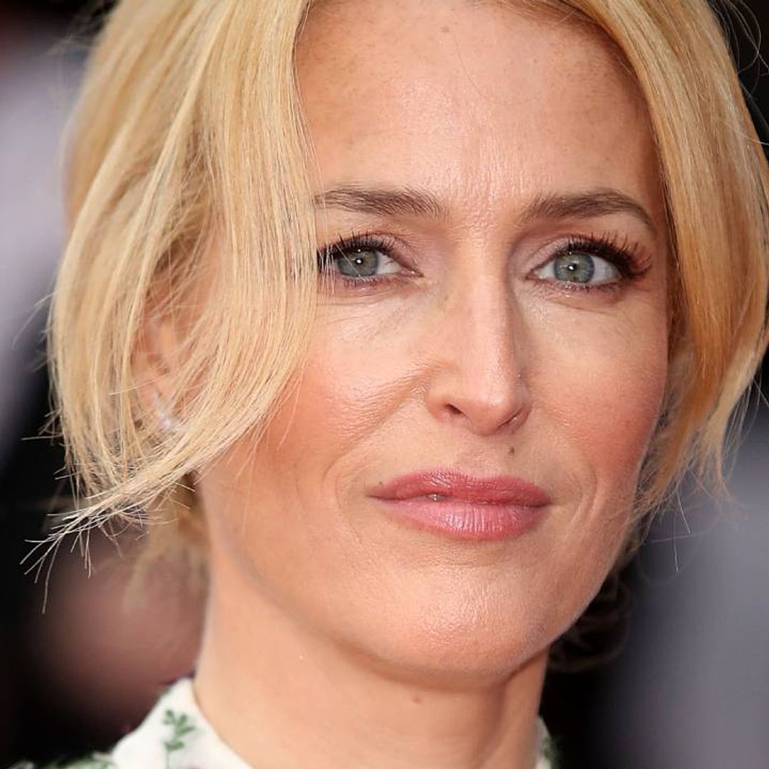 Gillian Anderson delights fans after revealing natural hair in makeup-free photo