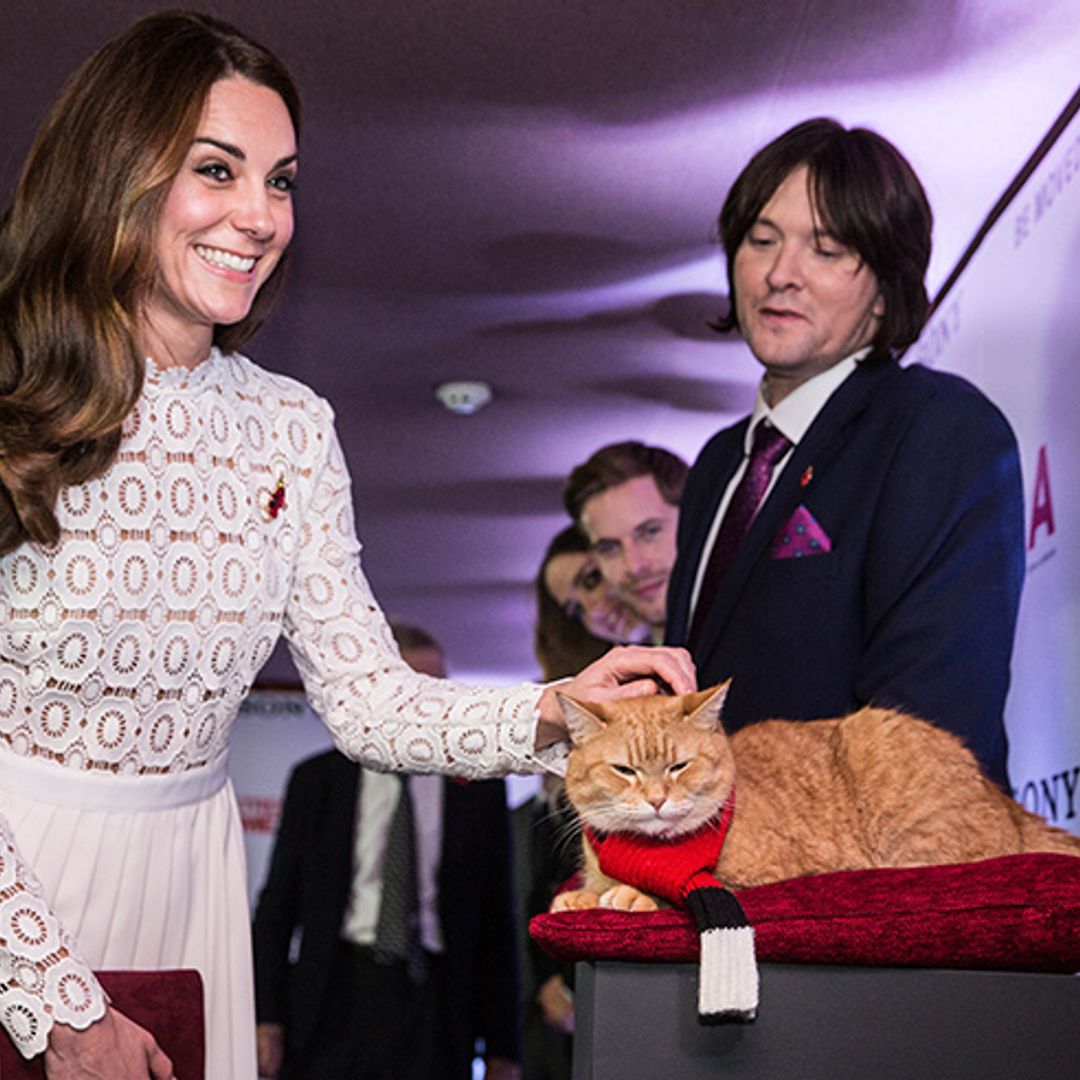 When Kate met Bob: 'Is that purring or growling?'