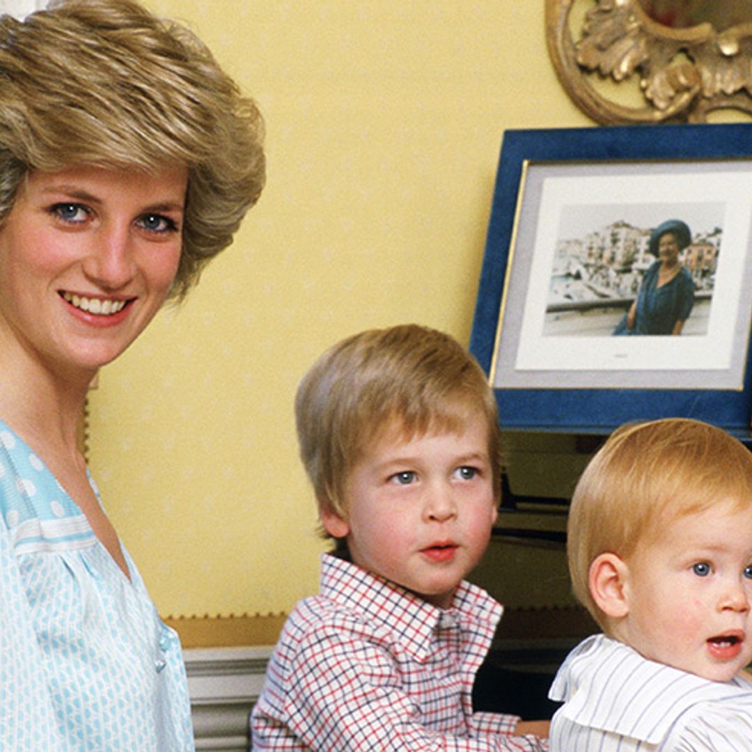 Prince William & Harry donate one of Princess Diana's outfits & it's for a very special reason