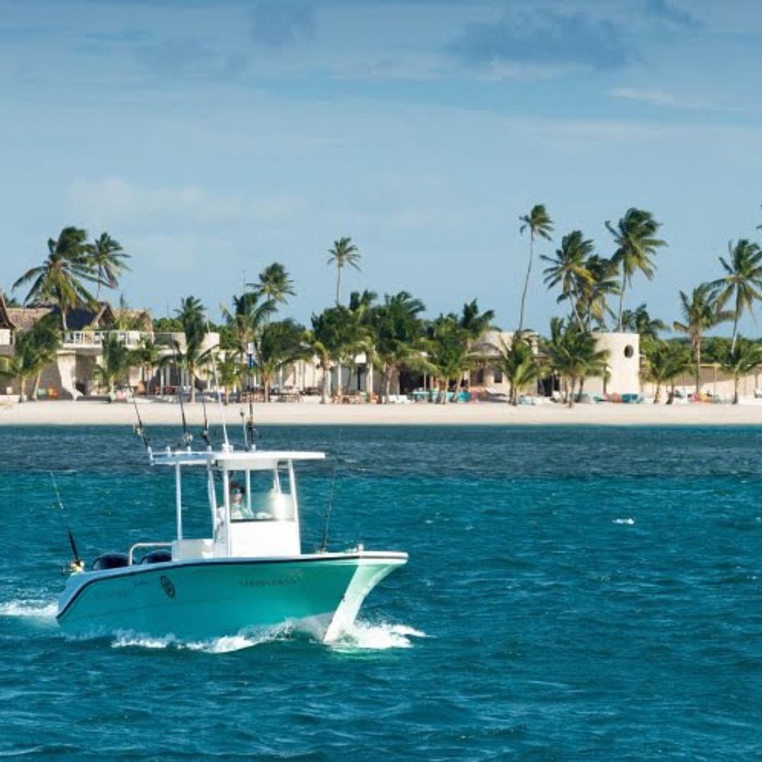 boat on the water with white sand and palm trees in background