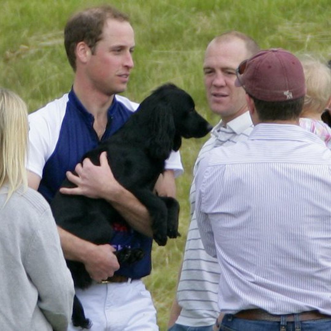 The touching reason Prince William and Kate Middleton got their spaniel, Lupo