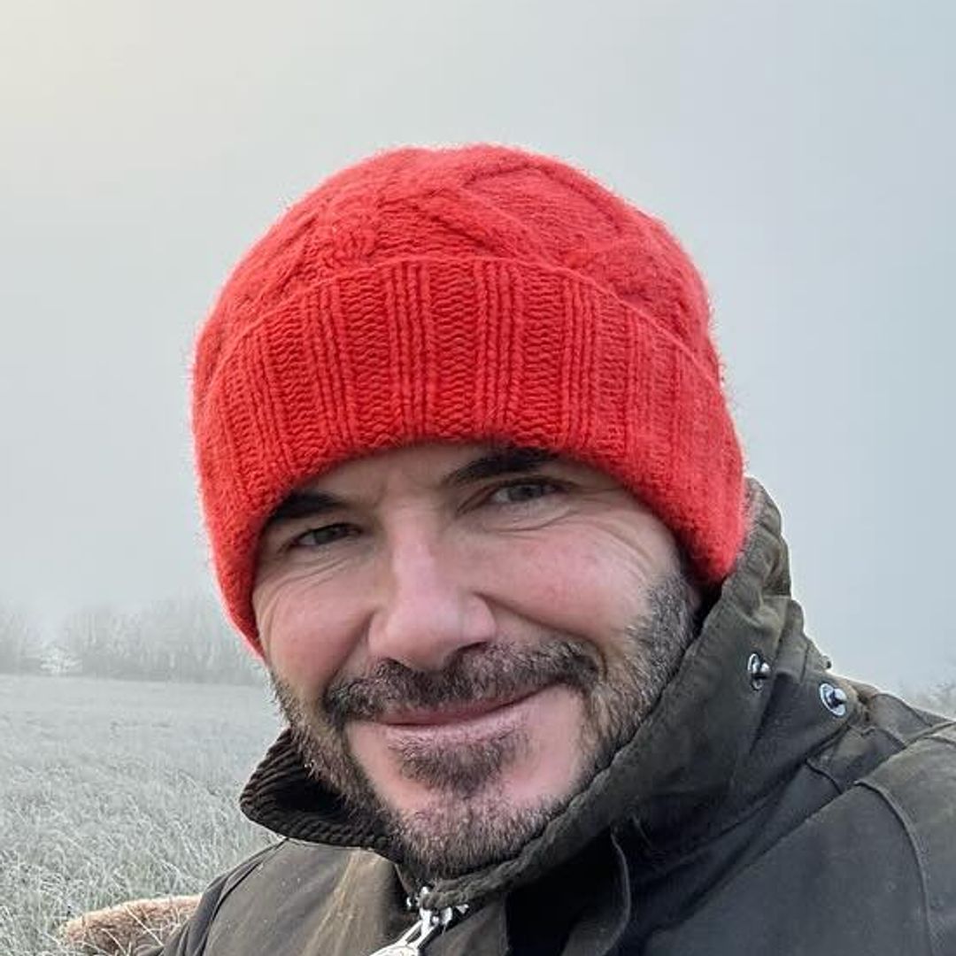 David Beckham's rambling garden is a frosted winter wonderland in new photos