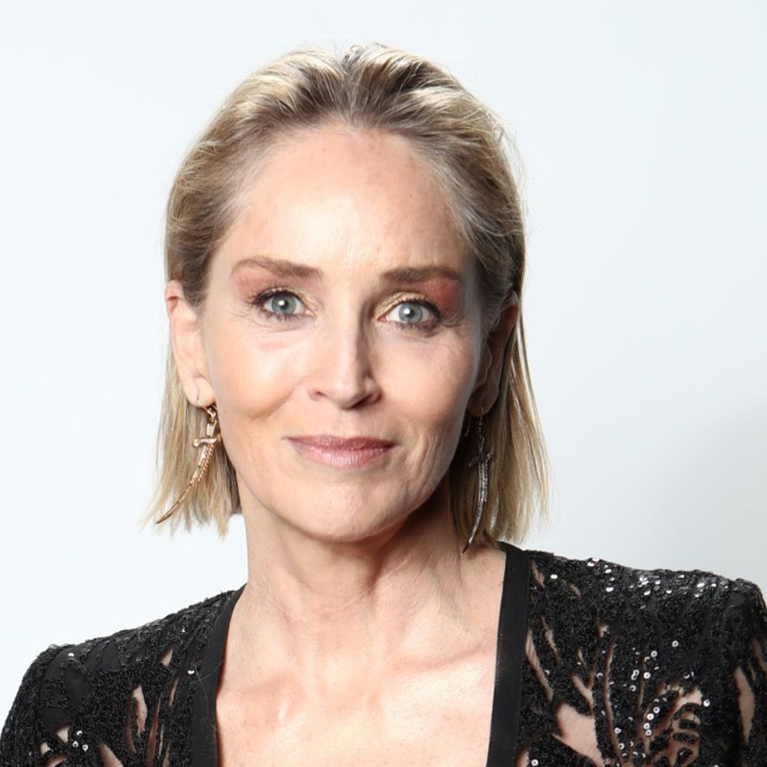 Sharon Stone has fans totally gushing as she shares adorable baby photo