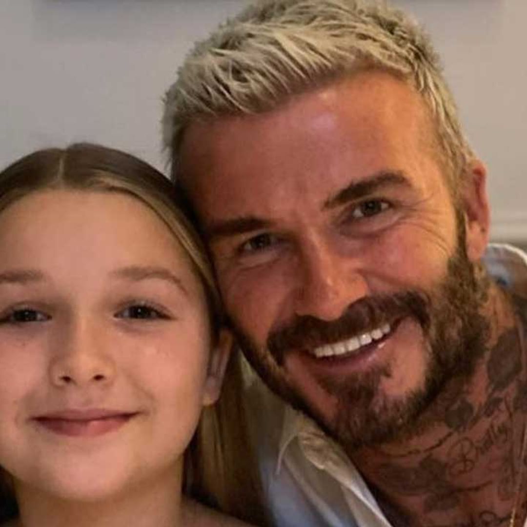 David Beckham provides rare glimpse inside plush private jet alongside daughter Harper