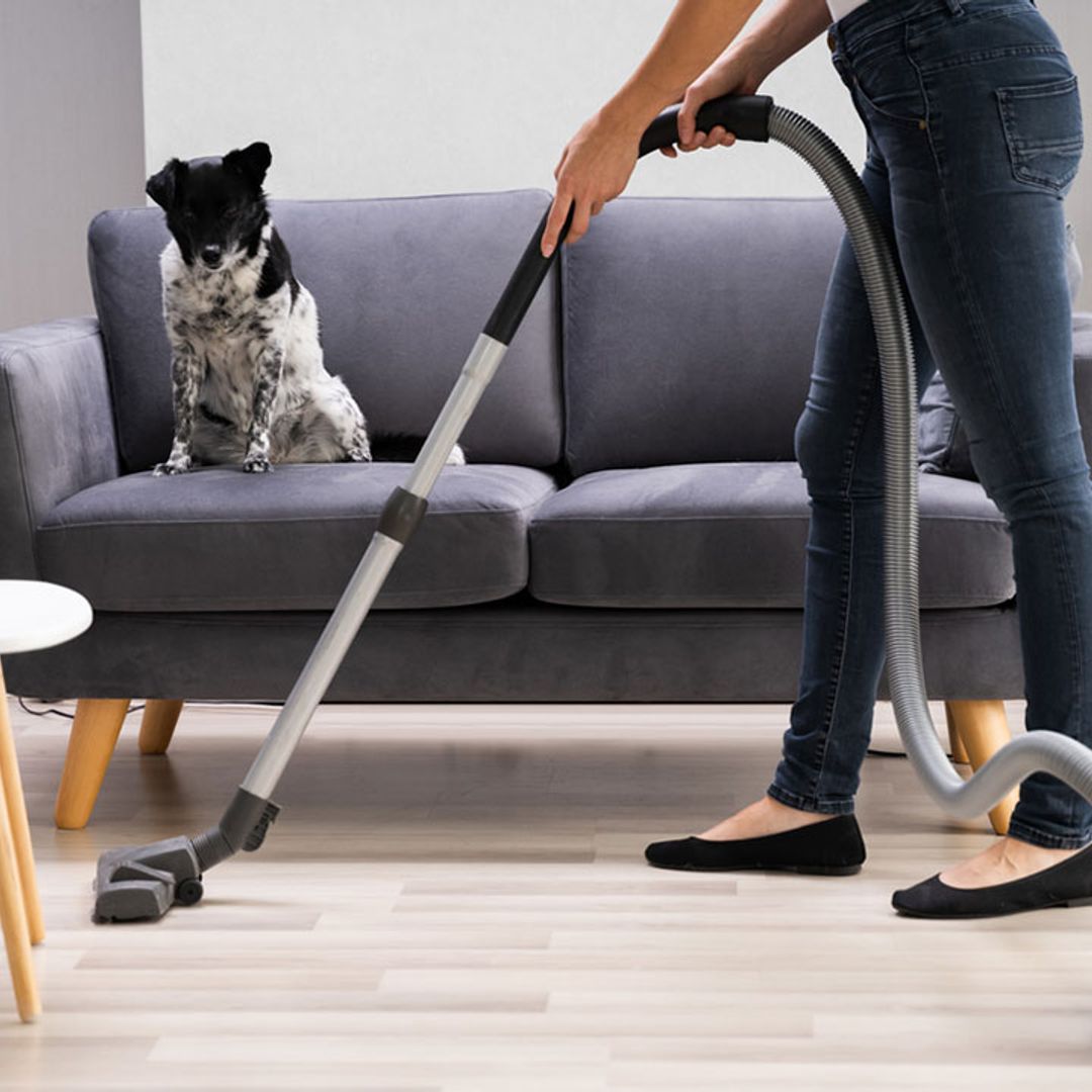 The ultimate guide to the best vacuum cleaners with top reviews to make the household chore a breeze 