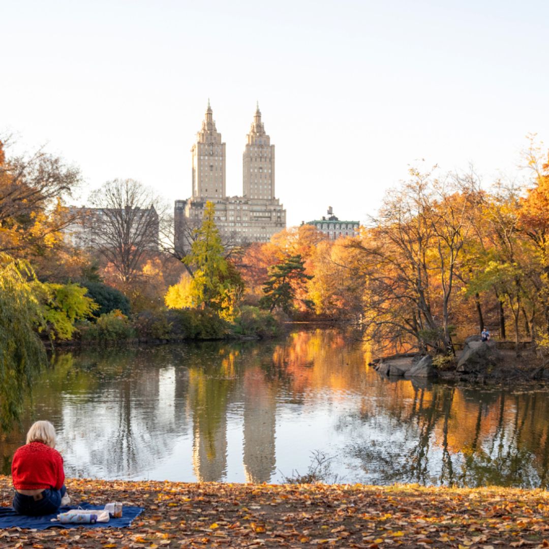 Where to eat, stay and go in New York City this fall