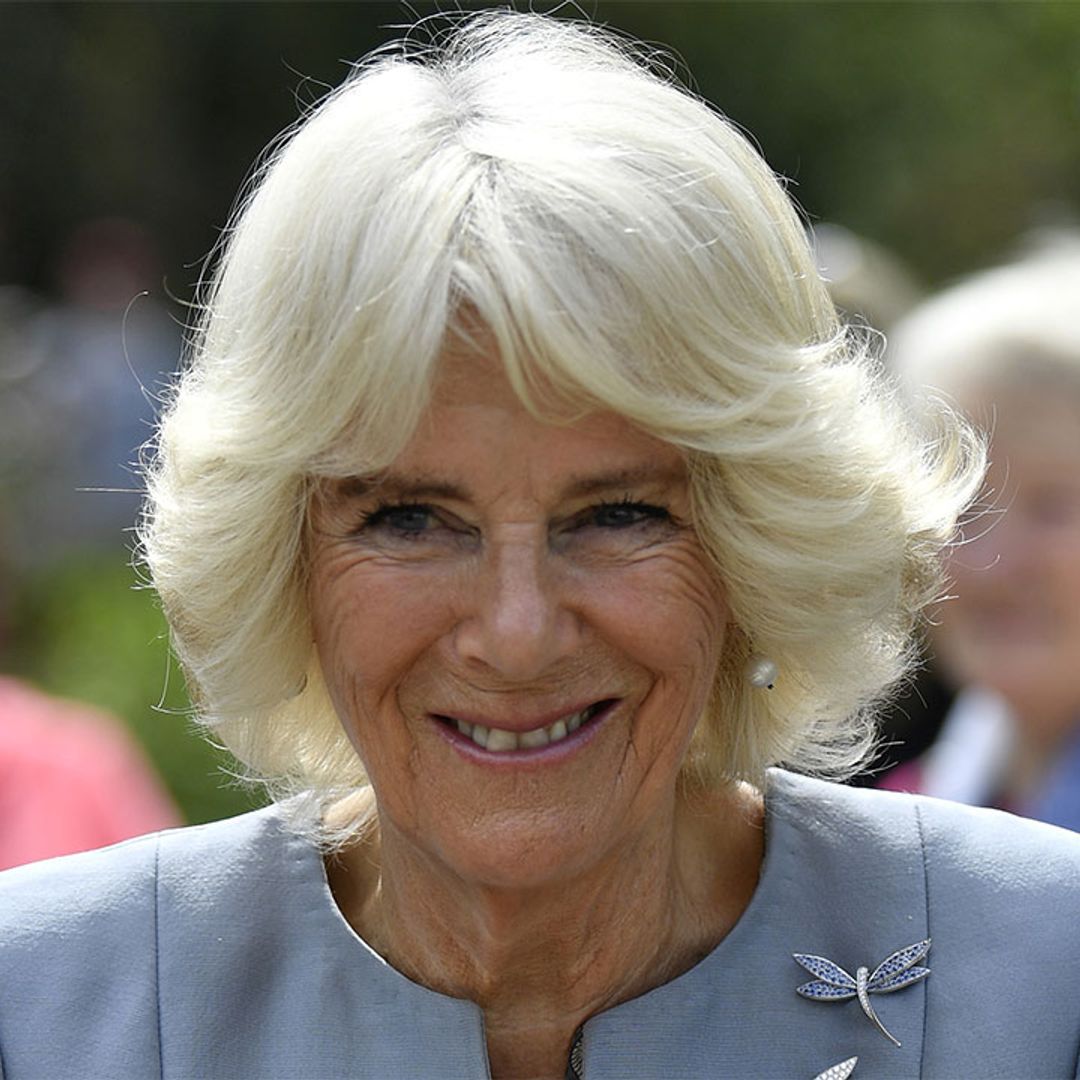 The Duchess of Cornwall just rocked the most iconic pair of shoes of all time