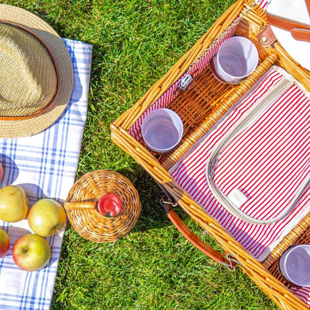 13 summer picnic essentials every family needs for the ultimate feast at the park