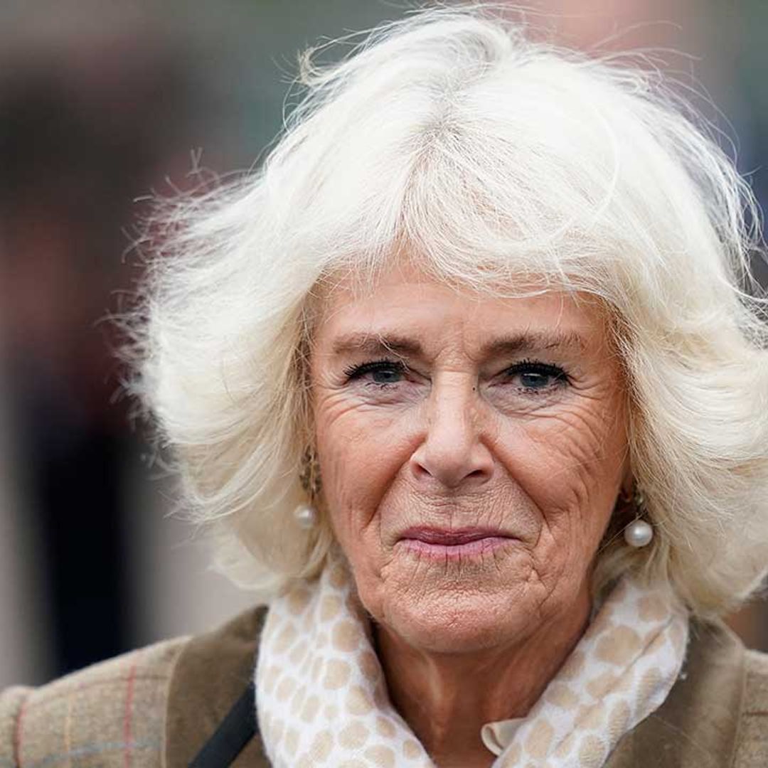 Why the Duchess of Cornwall isn't going to Japan with Prince Charles