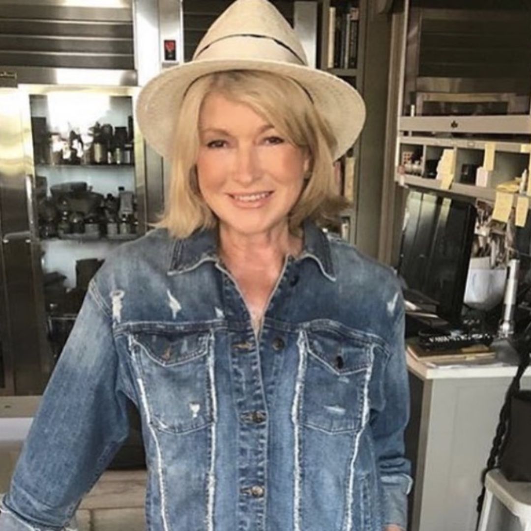 Martha Stewart looks incredible in stunning swimsuit photo posted by Tyra Banks