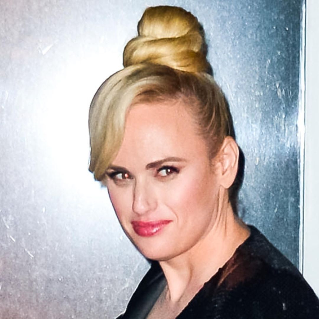 Rebel Wilson's eye-catching swimsuit photo needs to be seen to be believed