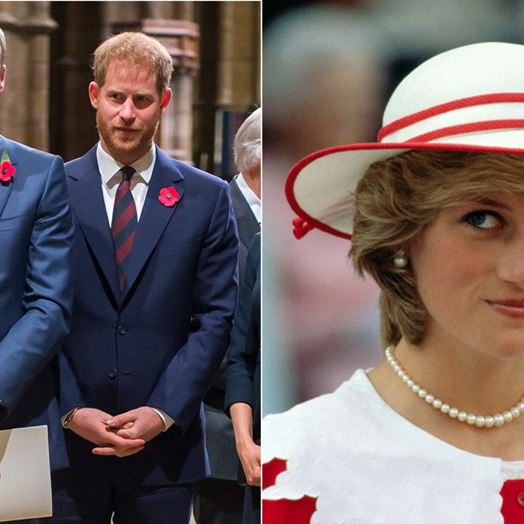 Prince William and Prince Harry unite for rare joint statement ahead of Princess Diana milestone
