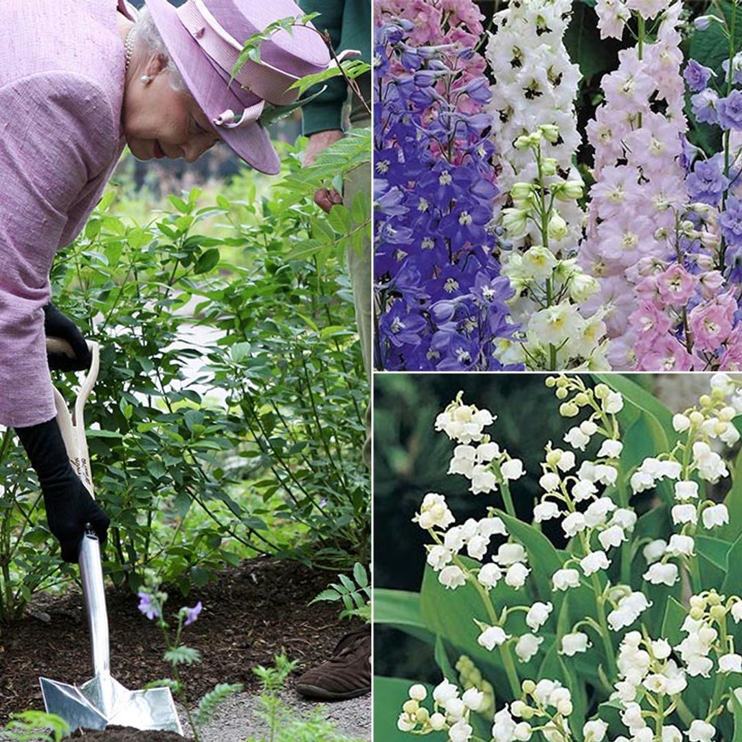 The royals' favourite plants to transform your garden into a regal sanctuary