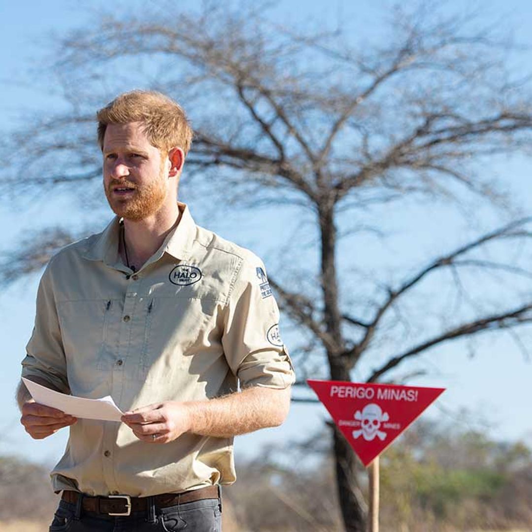 Prince Harry's moving letter to charity supported by Princess Diana revealed