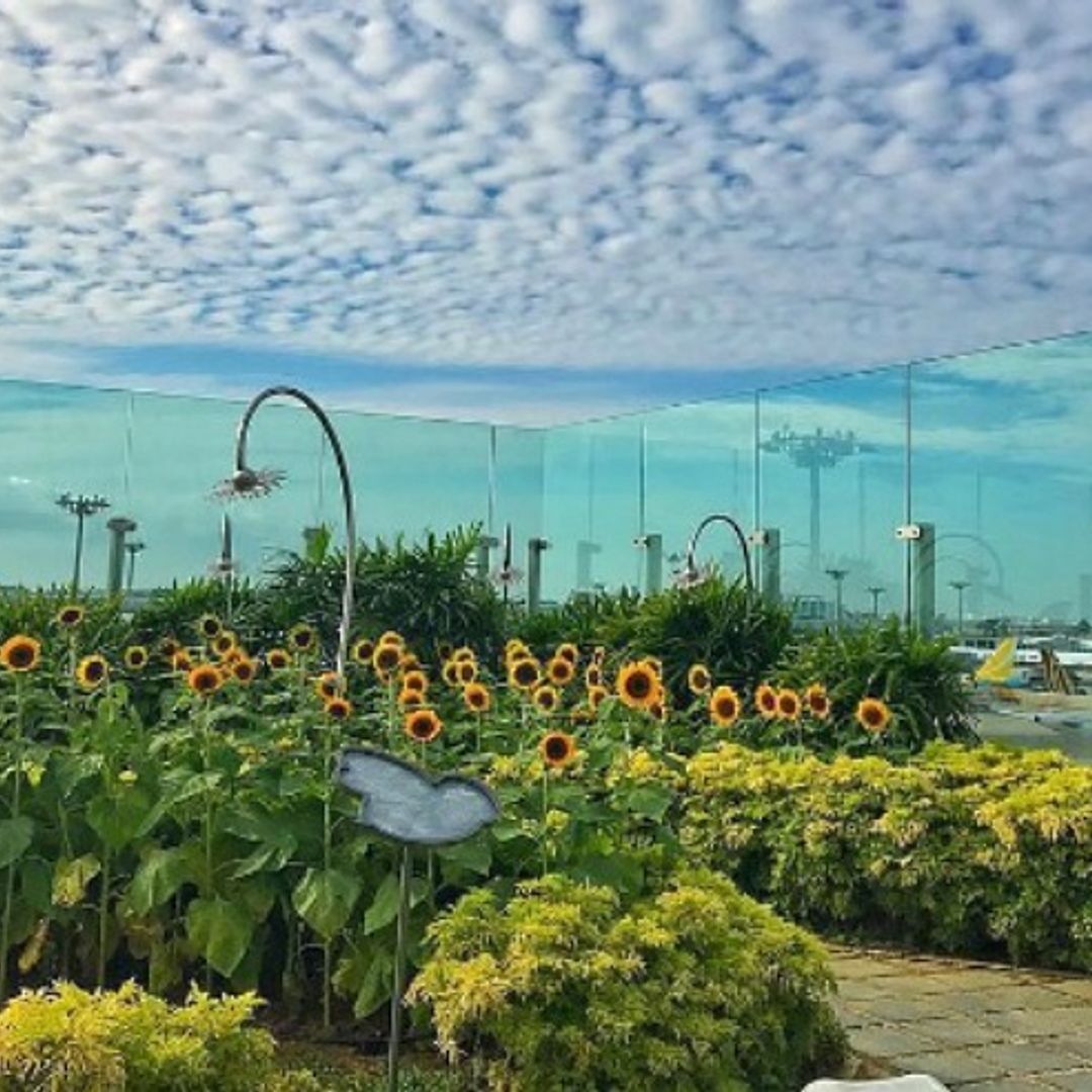 Inside the best airport in the world (complete with a rooftop pool and Hello Kitty café!)