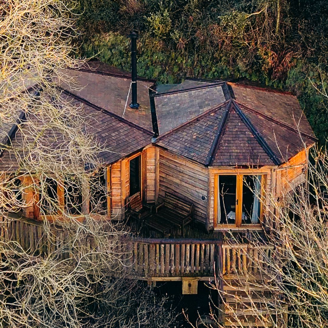 I stayed in a treehouse with my young family and it was the ideal UK staycation