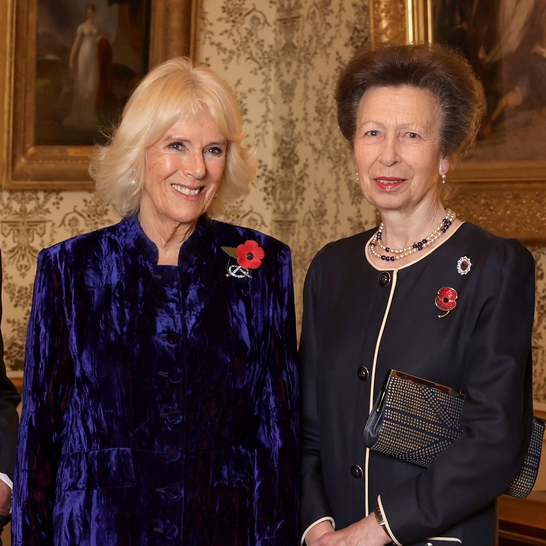 Princess Anne's rare comments about Queen Camilla revealed