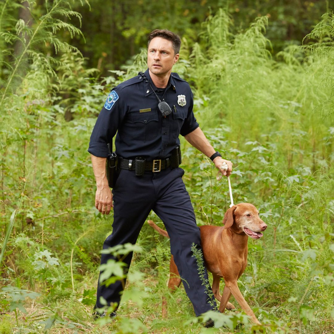 'Gripping' 6-part thriller with Virgin River star is going on my watchlist