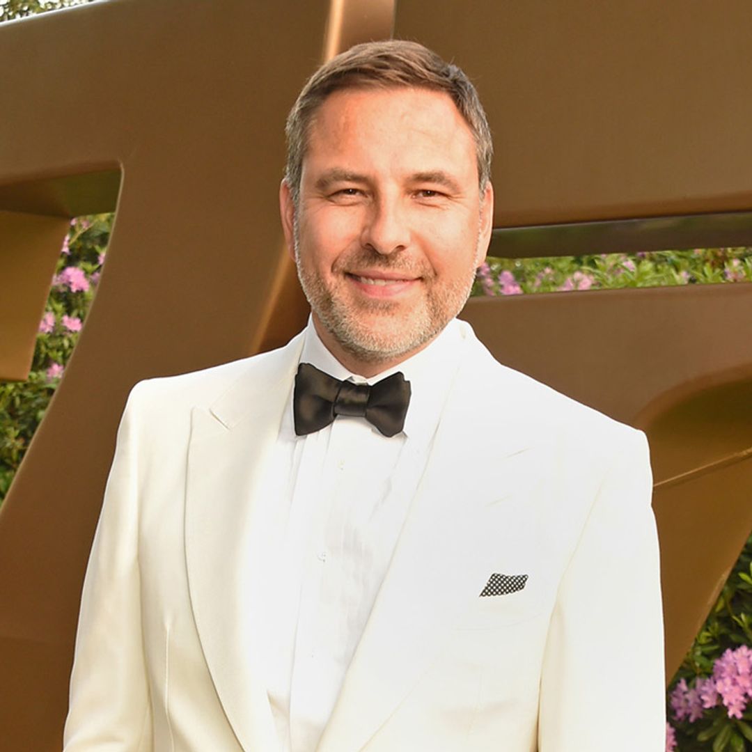David Walliams shares a hilarious throwback photo of Ant and Dec: click to see!