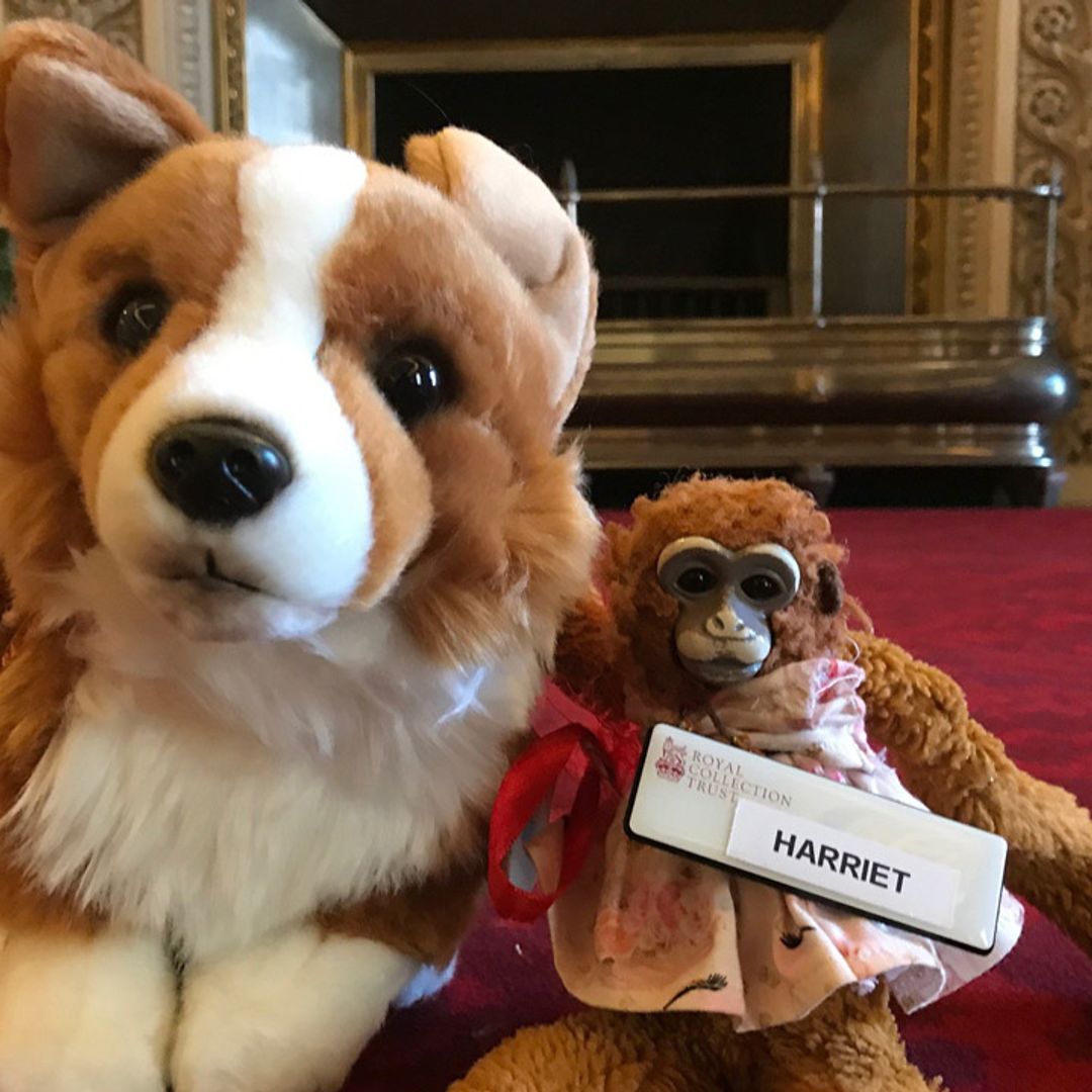 Aww! Buckingham Palace returns lost toy to schoolgirl in Australia after she wrote a letter to the Queen