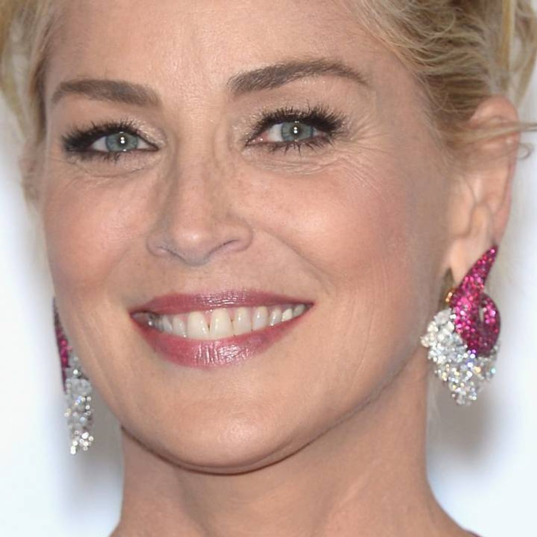 Sharon Stone shares candid swimsuit photo that sums up her weekend perfectly
